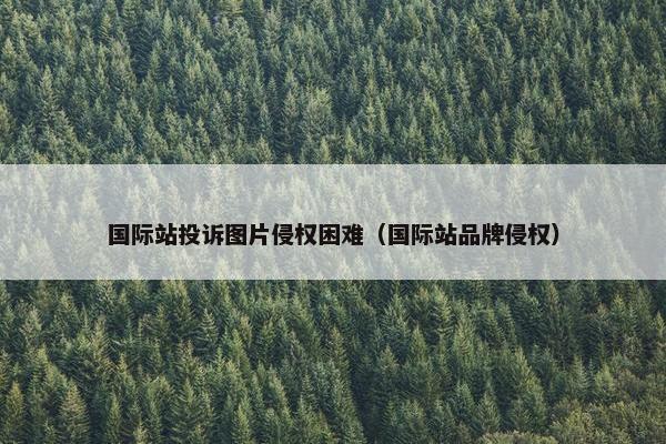 国际站投诉图片侵权困难（国际站品牌侵权）