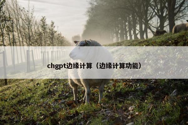 chgpt边缘计算(边缘计算功能)