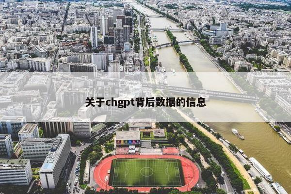 关于chgpt背后数据的信息