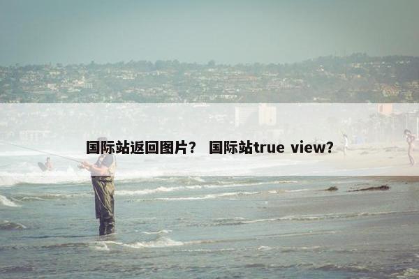 国际站返回图片? 国际站true view? 国际站返回图片? 国际站true view?