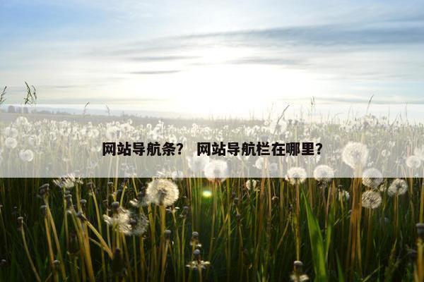 网站导航条? 网站导航栏在哪里?
