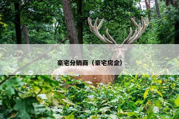 豪宅分销商(豪宅房企)