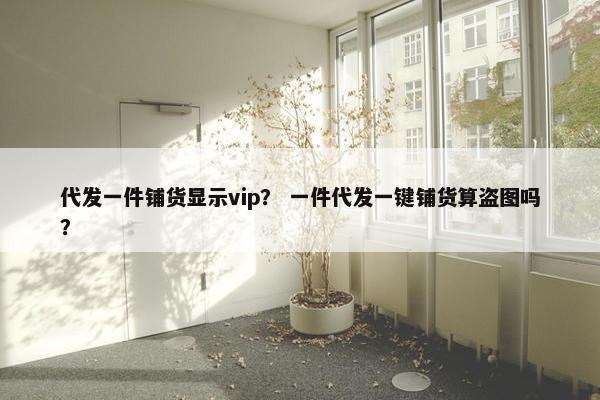代发一件铺货显示vip？ 一件代发一键铺货算盗图吗？