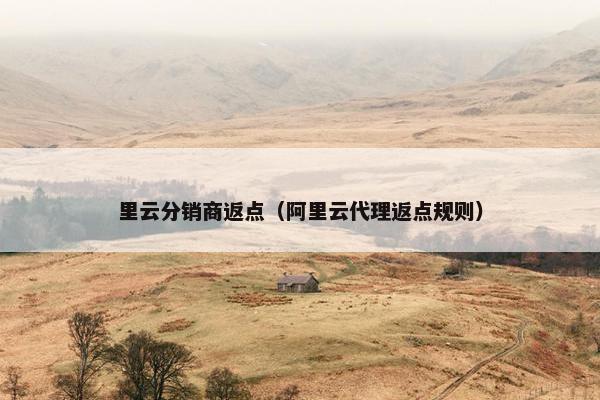 里云分销商返点（阿里云代理返点规则）