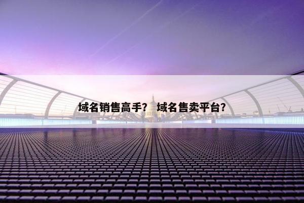 域名销售高手? 域名售卖平台?