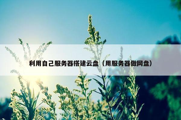利用自己服务器搭建云盘(用服务器做网盘) 利用自己服务器搭建云盘(用服务器做网盘)