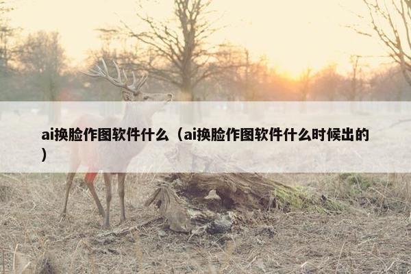 ai换脸作图软件什么(ai换脸作图软件什么时候出的)