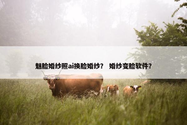 魅脸婚纱照ai换脸婚纱? 婚纱变脸软件? 魅脸婚纱照ai换脸婚纱? 婚纱变脸软件?