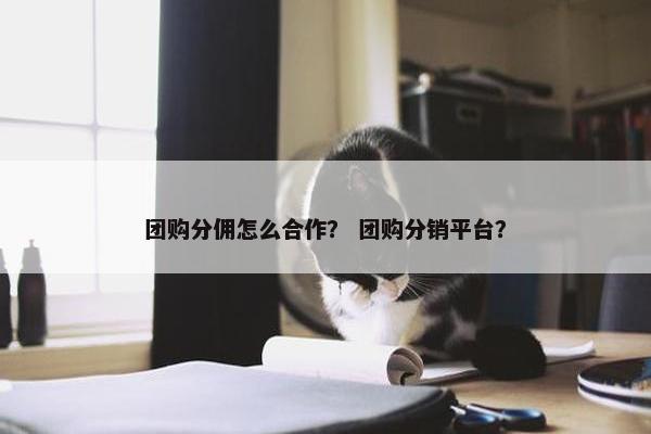 团购分佣怎么合作？ 团购分销平台？