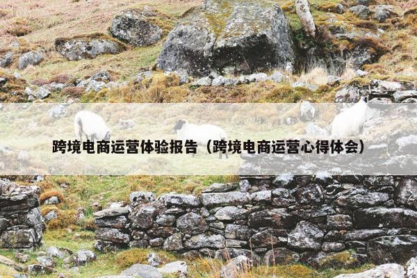 跨境电商运营体验报告(跨境电商运营心得体会)