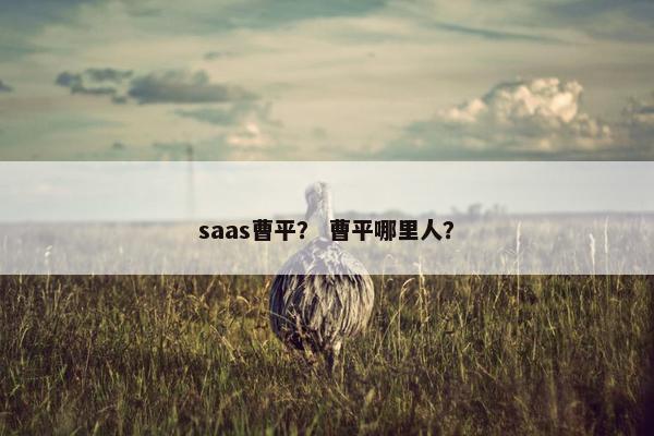 saas曹平？ 曹平哪里人？