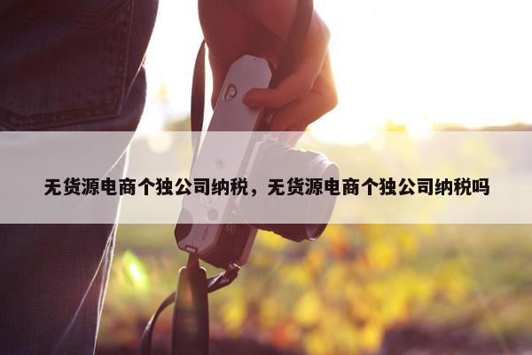 无货源电商个独公司纳税，无货源电商个独公司纳税吗