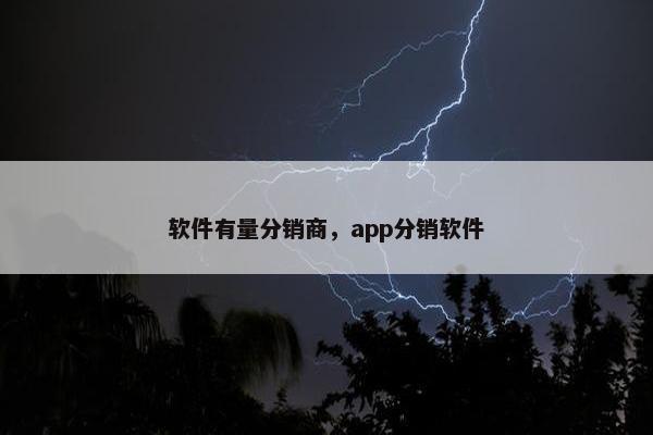 软件有量分销商，app分销软件