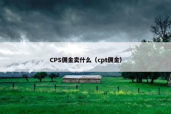 CPS佣金卖什么(cpt佣金)