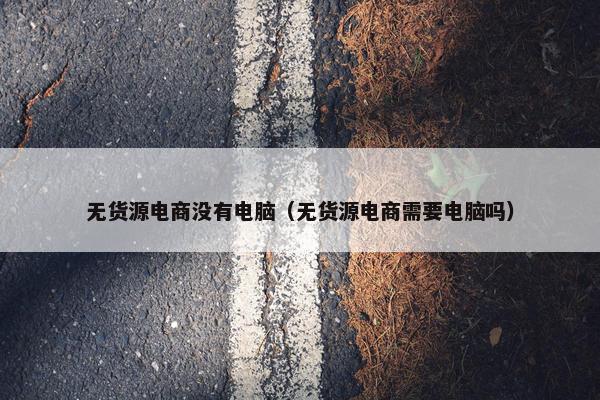 无货源电商没有电脑（无货源电商需要电脑吗）