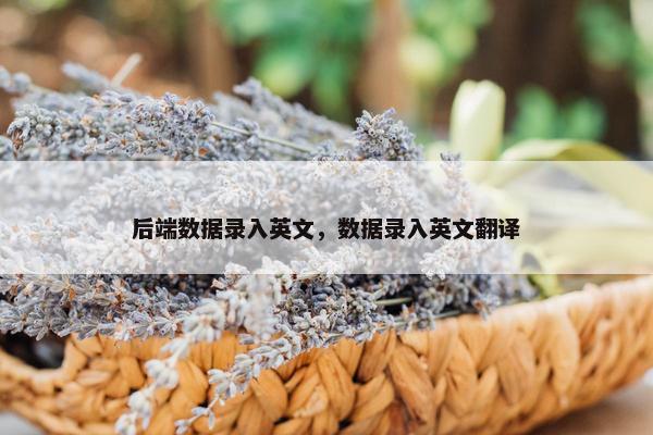 后端数据录入英文，数据录入英文翻译