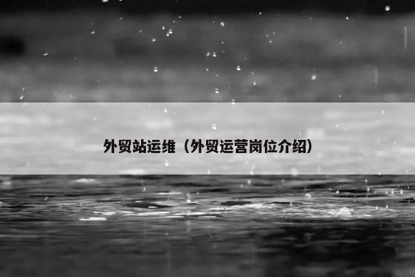 外贸站运维(外贸运营岗位介绍)