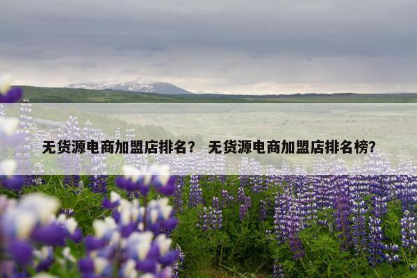 无货源电商加盟店排名? 无货源电商加盟店排名榜?