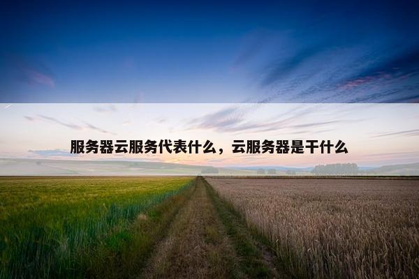 服务器云服务代表什么,云服务器是干什么 服务器云服务代表什么,云服务器是干什么