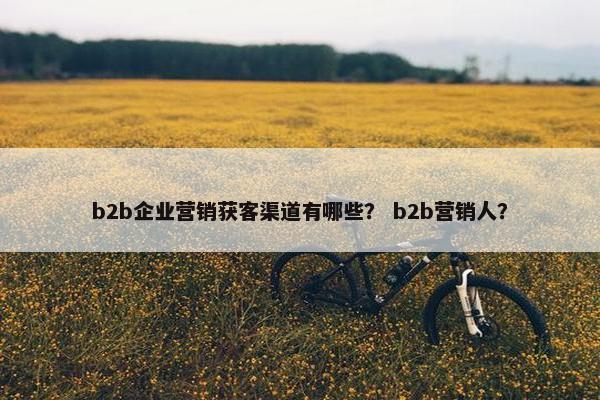 b2b企业营销获客渠道有哪些? b2b营销人? b2b企业营销获客渠道有哪些? b2b营销人?