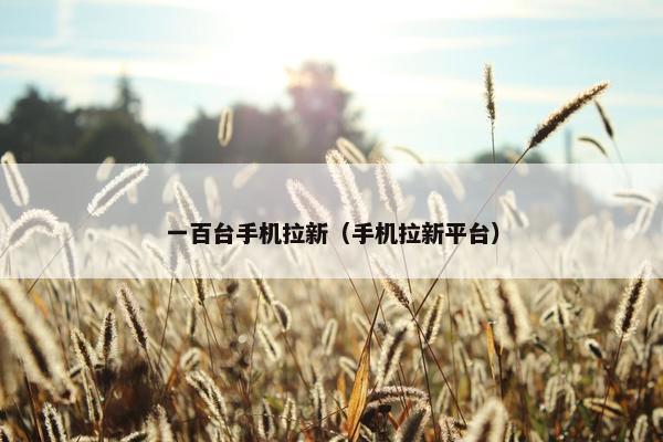 一百台手机拉新(手机拉新平台)