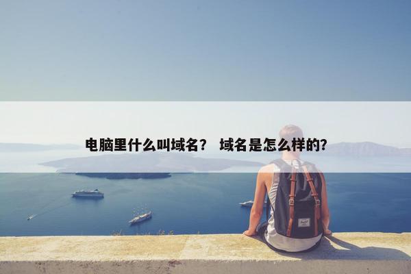 电脑里什么叫域名？ 域名是怎么样的？