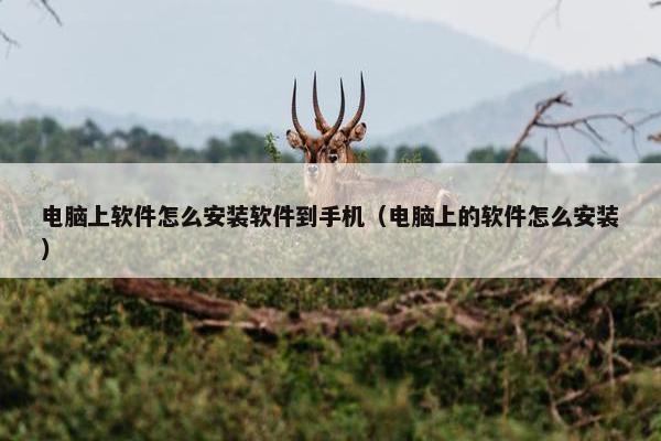电脑上软件怎么安装软件到手机（电脑上的软件怎么安装）