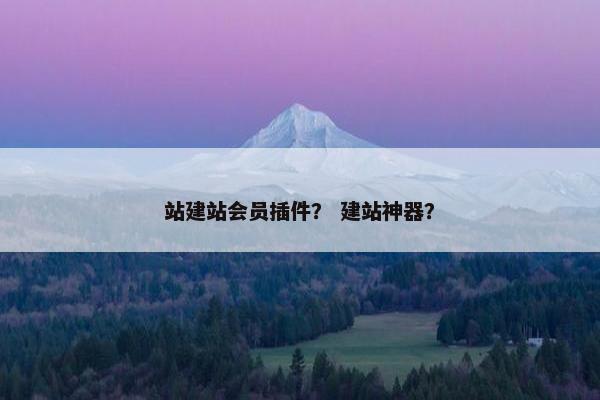 站建站会员插件？ 建站神器？