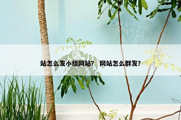 站怎么发小组网站？ 网站怎么群发？