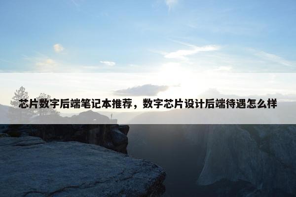 芯片数字后端笔记本推荐，数字芯片设计后端待遇怎么样