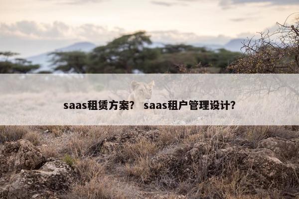 saas租赁方案？ saas租户管理设计？