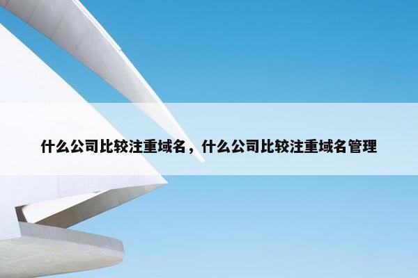 什么公司比较注重域名，什么公司比较注重域名管理