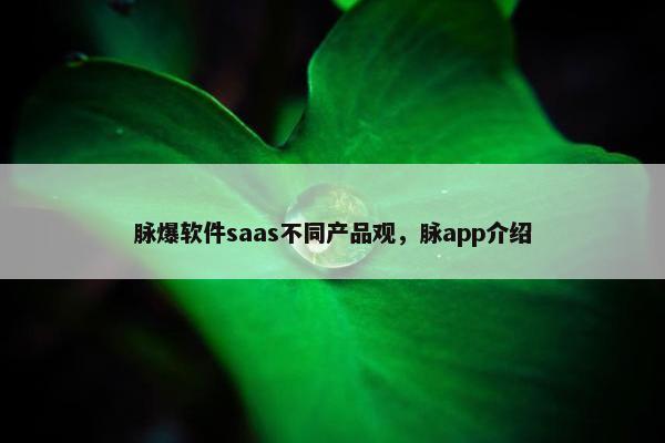 脉爆软件saas不同产品观，脉app介绍