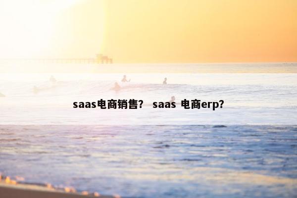 saas电商销售？ saas 电商erp？