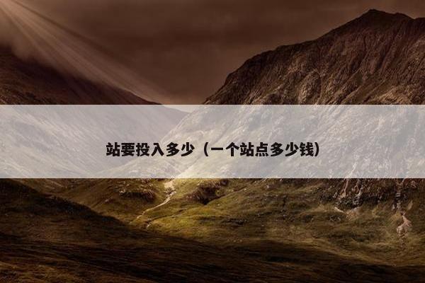站要投入多少（一个站点多少钱）