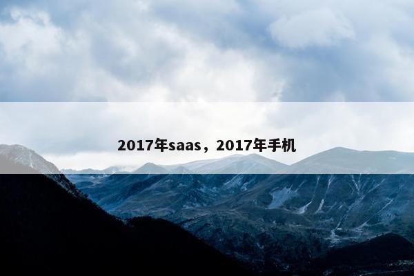 2017年saas,2017年手机