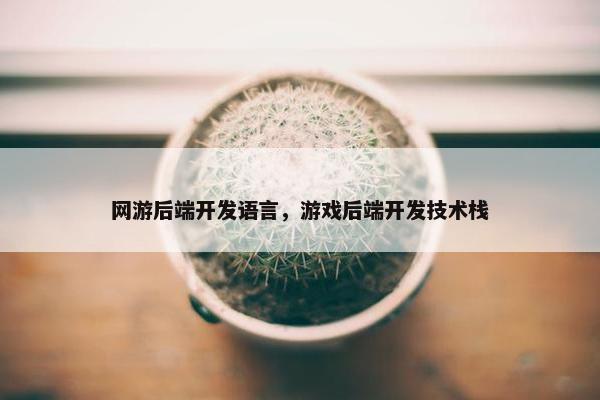 网游后端开发语言，游戏后端开发技术栈
