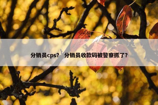 分销员cps？ 分销员收款码被警察抓了？
