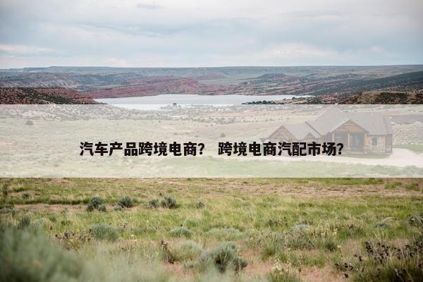 汽车产品跨境电商？ 跨境电商汽配市场？