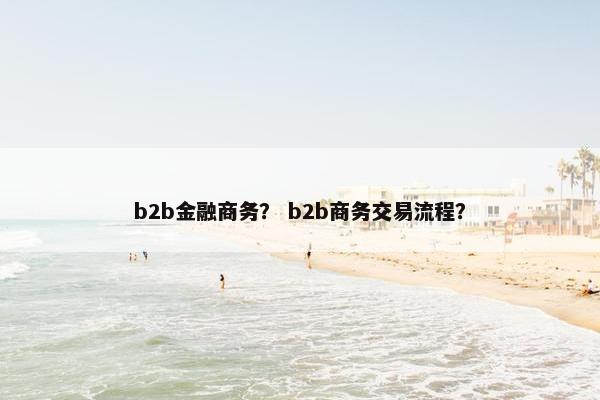 b2b金融商务？ b2b商务交易流程？