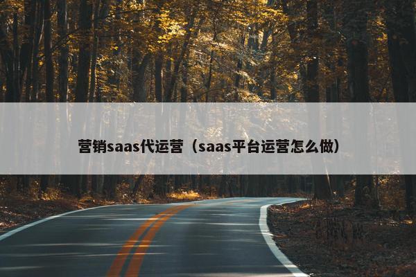 营销saas代运营(saas平台运营怎么做)