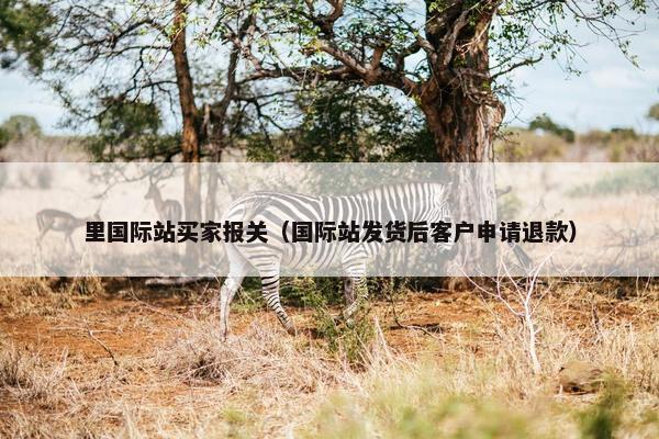 里国际站买家报关(国际站发货后客户申请退款)