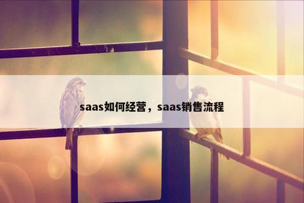 saas如何经营,saas销售流程