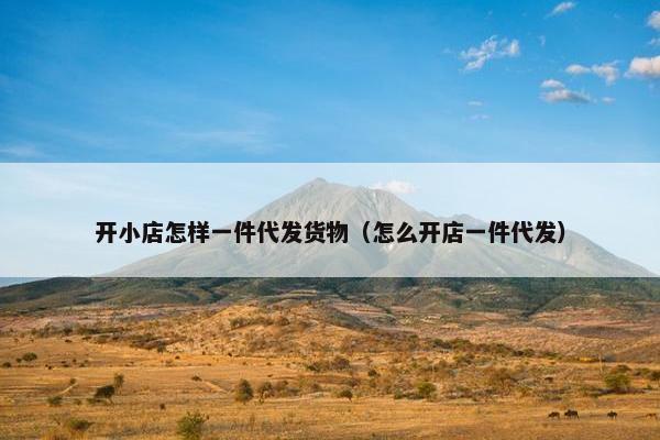 开小店怎样一件代发货物(怎么开店一件代发)